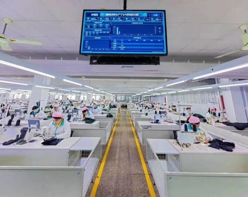 数字赋能 平湖田野上的“聪明”变革